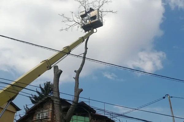 viber_image_2025-11-28_08-43-21-530